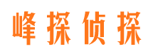 铜川出轨调查